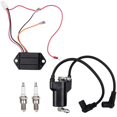 Goodbest CDI Ignition Coil Kit image