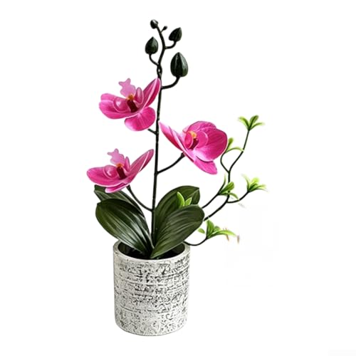 Orquídea artificial realista Phalaenopsis en maceta de pulpa hecha de goma suave y película para decoración del hogar, oficina, boda, 25,5 cm (rojo rosa)