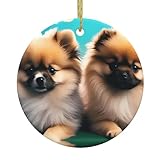 Perfetto per una vasta gamma di scenari applicabili, questo ornamento è adatto per centri commerciali, supermercati, negozi e case, dove può essere appeso in modo sicuro per evitare cadute. Usalo come decorazione da appendere all'albero o come parte di attività artigianali, rendendolo essenziale per qualsiasi riunione di festa.