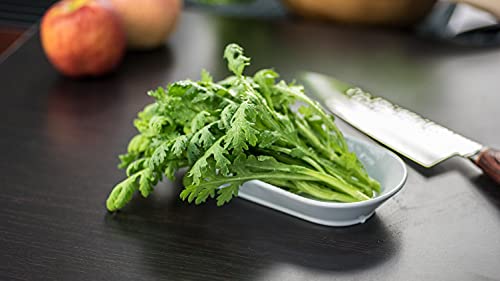 Tomorrowseeds - Garland Chrysanthemum Greens Seeds - 500+ Count Packet - For 2023 Edible Crown Daisy Shungiku Ssukat Tong Hao #TOP2
