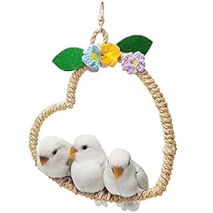La La Pet® Bird Rope Swing with Hanging Hook Bird Rope Perch Bird Swing Perch Bird Perch Stand Bird Cage Toy for Parrot Budgie Parakeet Cockatiel Cockatoo Conure Heart