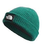 The North Face Men's Salty Lined Beanie, Evergreen