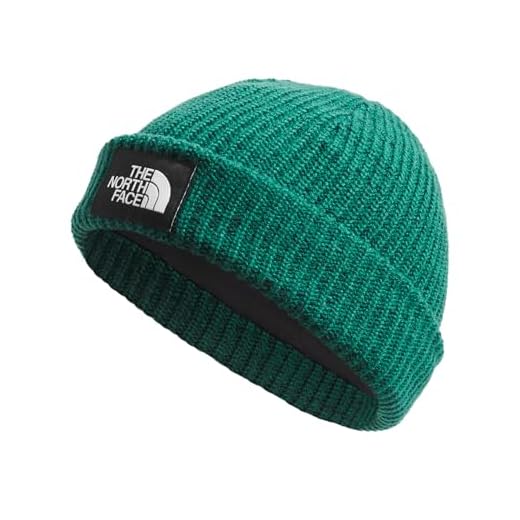 THE NORTH FACE Salty Dog Lined Beanie, Evergreen, One Size Short