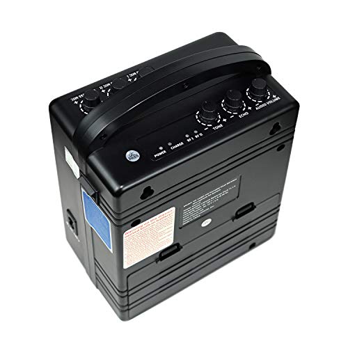 Hisonic Hs122Bt-Hl Portable And Rechargeable Pa System With Dual Uhf Wireless Microphones & Bluetooth Connection #TOP4