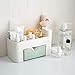 NKLL Cuscino Sedia Cosmetici plastica Storage Box Desktop Dressing Table Skin Care Telecomando cancelleria Gioielli griglia Bagno Sundries Organizzare Vaso (Color : Green)