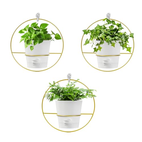 Wall Planters for Indoor Plants Set of 3-5" Modern Hanging Plante...