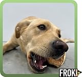 FROKI Premium Rinderkopfhaut für große & kleine Hunde 500g| 100% Rind | 100% Natürlich | Futter-Snack | Hunde-Leckerlis | Kausnack | Zahnpflege | ohne Zusatzstoffe