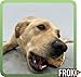 FROKI Premium Rinderkopfhaut für große & kleine Hunde 500g| 100% Rind | 100% Natürlich | Futter-Snack | Hunde-Leckerlis | Kausnack | Zahnpflege | ohne Zusatzstoffe