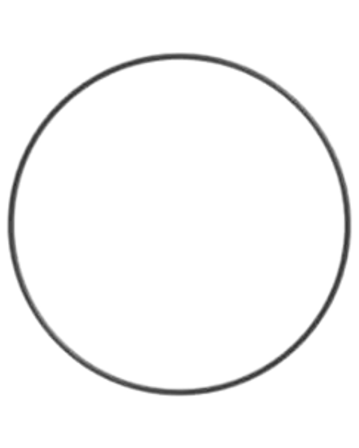 FridayParts O Ring Seal 2D-2443 2D2443 Compatible for Caterpillar CAT Engine 3054 Loader 938G 950G 966G 966F 980G 966H 980H 950F 966D 966E Replacement