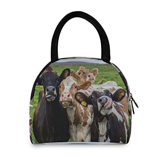 Lunch Bag Farm Animal Cow Cattle Insulated Lunch Box Leakproof Zippered Lunch Tote Bag Large Cooler Bag With Front Pocket For Women/Men Work School Girl Boy #TOP22