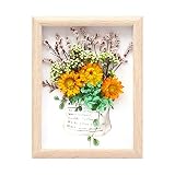 shuaiguo Ornements géométriques Vacances Fleur séchée Cadre Photo Cadeau créatif Cadeau for Enfants Fait à la Main Bricolage Cadre Photo Autocollant Fleur Fleur séchée 5 ML Fleurs séchées