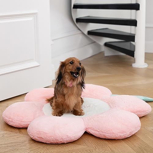 VETRESKA Dog Beds for Medium Small Dogs,Washable Dog Bed Sofa Supportive Pet Bed Bolster, 33.5Inches Cute Cat Bed Couch Pink Flower Dog Bed with Removable Cover Waterproof Nonskid Bottom