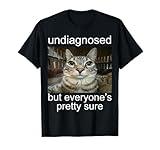 Silly Staring Cat Meme