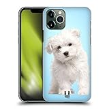 Super fine e leggero Head Case Designs Cucciolo Maltese Razze Famose di Cani Custodia Cover Dura per Parte Posteriore Compatibile con Apple iPhone 11 PRO