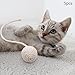5X Cat Sisal Rope Ball Toys Cat Teaser Toys for Indoor Cats Pet Supplies Self Play Handmade Cat Rope Ball Cat Hemp Rope Balls, 4.5cm White