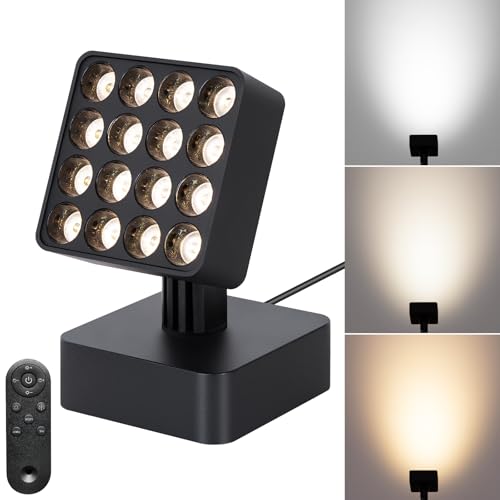 Image of 12V Indoor Plant Spotlight with Remote dimming Function, 12W Spotlight Suitable for Dark Corners, Sofas, Indoor Plants, Walls, Artworks (Black, 1 Pack)