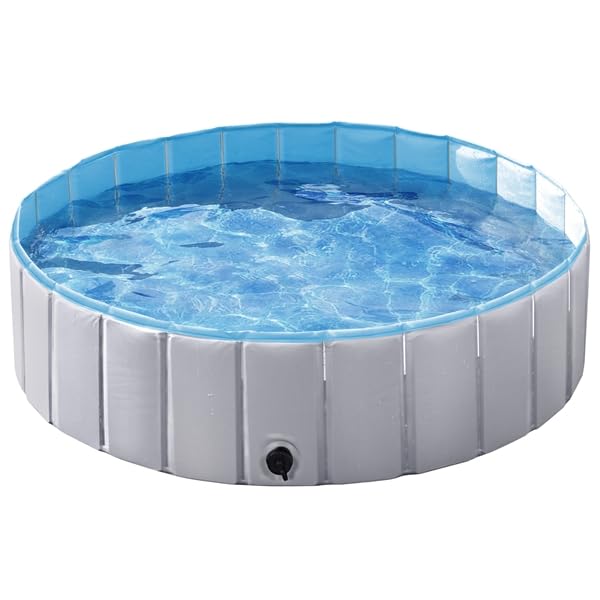 Piscine pour chien pliable avec fond gris antidérapant robuste