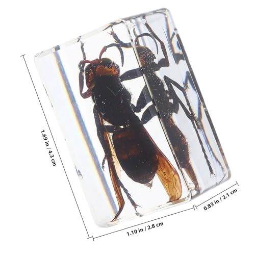Pisapapeles de resina con insectos CLISPEED, pack de 6 especímenes transparentes para escritorio 2