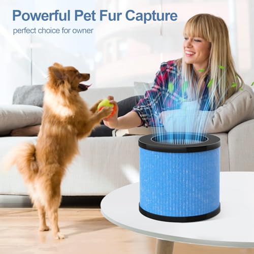 TPAP002 Filter Replacement for TOPPIN TPAP002 Air Purifier Comfy Air C1 by Horserdy - Used condition - Image 5