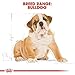 Royal Canin Bulldog Junior 3 kg, 1er Pack (1 x 3 kg)