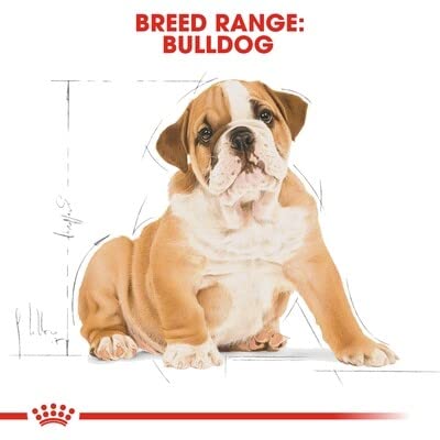 Royal Canin Bulldog Junior 3 kg, 1er Pack (1 x 3 kg)