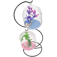 Transparent Hanging Desktop Fish Tank with Stand Multi Function Small Glass Aquarium Bowl for Betta and Goldfish Easy Clean Micro Landscape Decor for Home and Office Random Color