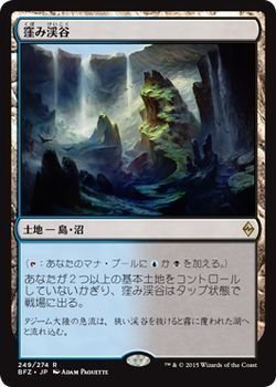Amazon.co.jp: マジック・ザ・ギャザリング 窪み渓谷（レア） / 戦乱の