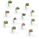 LASZOLA 12 Pack Small Acrylic Floating Wall Shelves with Adhesive Tape and Screw, Wall Mounted Adhes