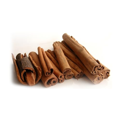 Genérico, Muda de Canela da india 20 a 40cm AMK - Plantas Online