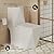 Brusque One-Piece Square Toilet Dual-Flush 1.1/1.6 gpf