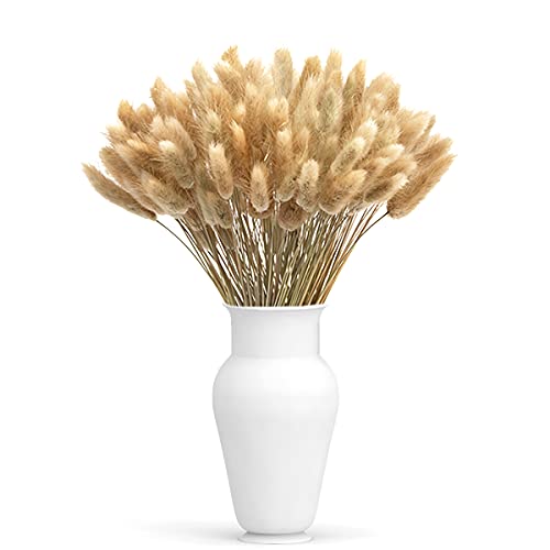BoloShine 60 Pièces Herbe de la Pampa, Fleurs Séchées Naturelles Queue de Lapin Bouquet de Fleurs Sechees Artificielle Boho pour Mariage la Décoration à la Maison Cuisine Domicile Balcon Photographier Cover