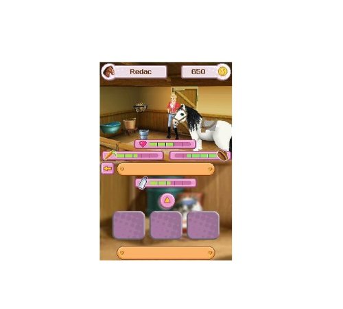 Poney Club By Alexandra Ledermann Nintendo Ds - vue 4