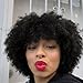 Queentas 8inch Short Kinky Curly Human Hair Afro Wigs for Black Women None Lace Wig Natural Black #1B (Natural Spiral Curls)