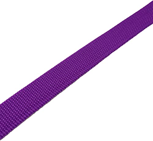 Taian 4Ft/5Ft/6Ft Strong Dog Leash, Nylon Dog Leashes For Small Medium Large Dogs (Purple, 1 In X 10 Ft) #TOP4