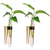 Haute Qualité: Vases à tubes à essai est en bois de haute qualité et en plastique transparent, robuste et durable, adapté aux amateurs de plantes hydroponiques.