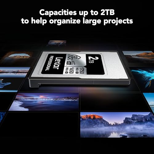 Image of Lexar 256GB Professional CFexpress Type A Silver 4.0 Memory Card, for Photographers, Videographers, Up to max 1750 /1650 MB /s, 8K Video (LCAEXS4256G-RNENU)