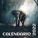calendarios animados 2018  Calendario de pared 2022 - Animales salvajes: Calendario de España 2022. Calendario de 12 meses con festivos nacionales. Almanaque de pared con ... para escribir notas. Calendario en españo