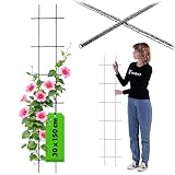 KADAX - Malla de metal para jardín, celosía para rosas (30 x 150 cm)
