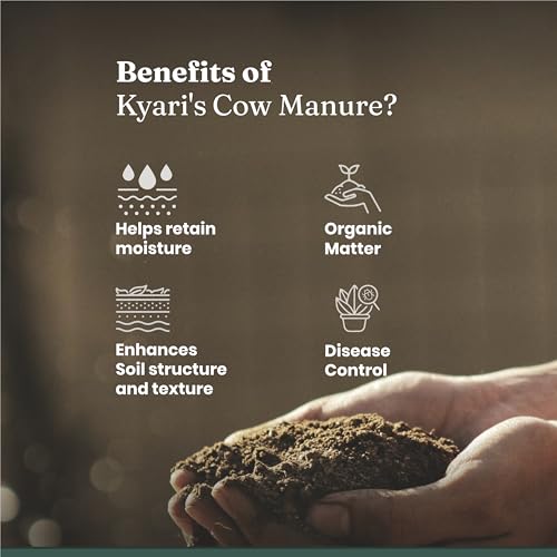Image of Kyari Cow Dung Manure 10kg for Plants - Organic Gobar Khad Fertilizer