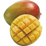 Mangue X1...