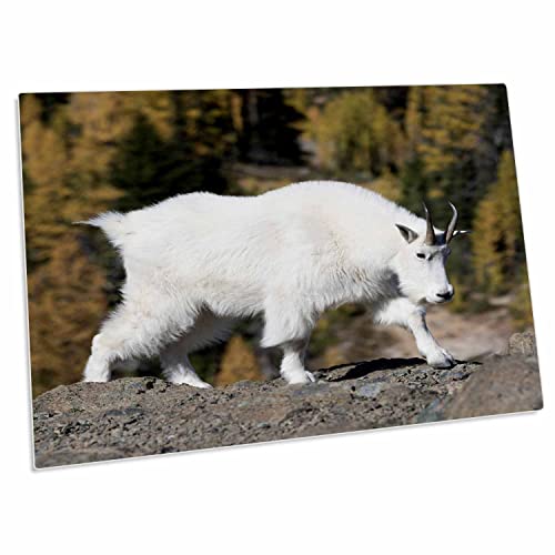 3dRose Washington State Desk Pad 23x16 pulg miniatura 1
