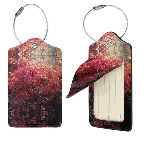 Dwrepo Burning Bush Leather Luggage Tags, 4 pcs, Black