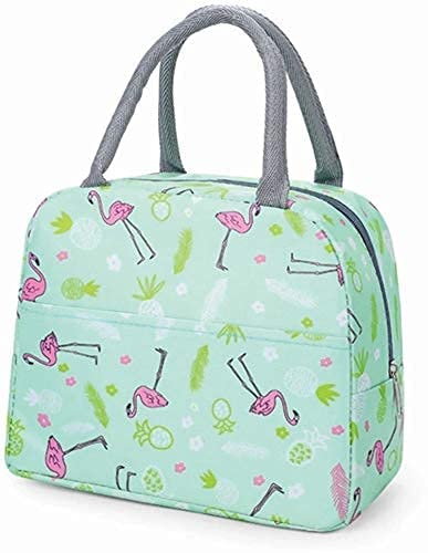 Insulated Lunch Bag, Travel Lunch Storage Bag for Office, College & School, Tiffin Bag, Food Picnic Lunch Bags for Kids, Lunch Bag for Women, Girls, Mens, Tote Bags