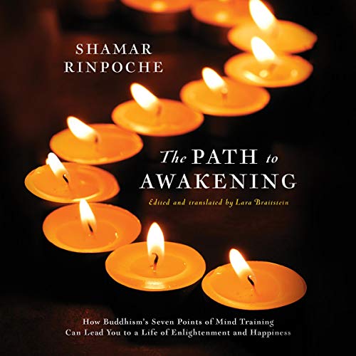 The Path to Awakening by Shamar Rinpoche episode artwork