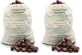 Alepia Noix de Lavage Bio, Agrumes, 1 kg (Lot de 2)