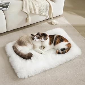 Fluffy Cat Bed