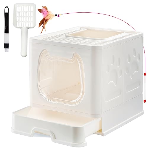 Top 10 Best Covered Litter Box Reviews & Comparison Glory Cycles