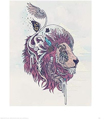 Mat Miller Rabbit Mat Miller Art Prints, 40 x 50 cm, multicolor : Amazon.com.mx: Hogar y ...