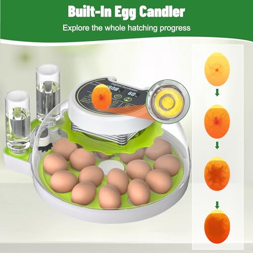 MYMULIKE 18 incubadoras de ovos para incubação, incubadora de ovos com giro automático de ovos e con