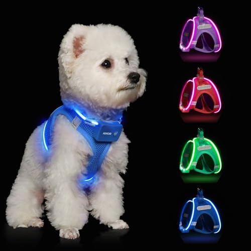 Light Up Dog Harness Rechargeable LED Dog Harness for Small Medium Large Dogs Reflective Lighted Safety Vest for Night Walking & Camping Lightweight & Adjustable Sky Blue S